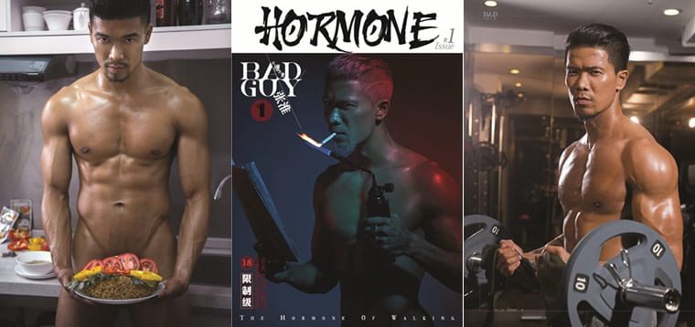 HORMONE VOL.01 不坏不爱-张淮——万客写真