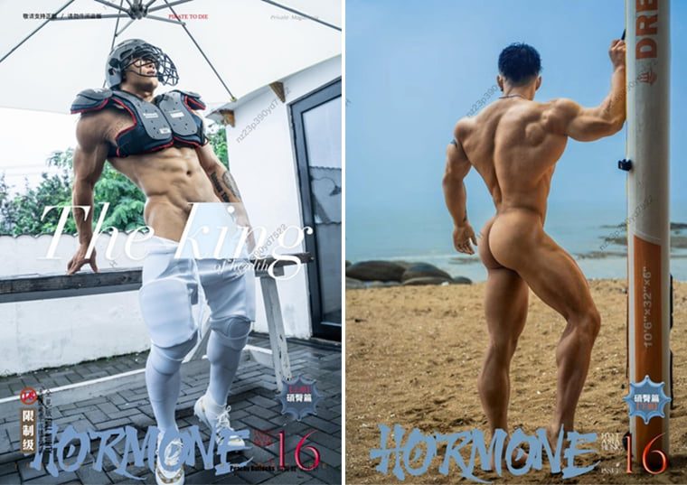 HORMONE 16 硕臀篇合集包——万客写真+视频